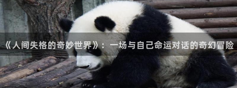 漫蛙咋登录：《人间失格的奇妙世界》：一场与自己命运对话的奇幻冒险