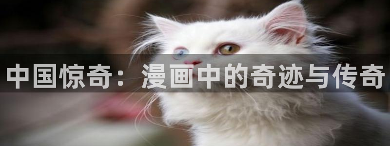 吉伊卡蛙漫画免费版：中国惊奇：漫画中的奇迹与传奇