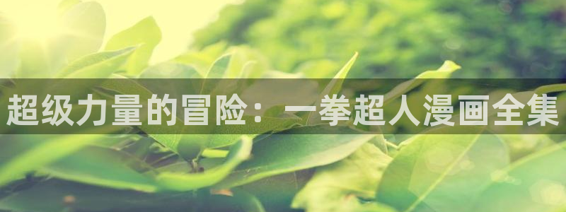 蛙漫入口：超级力量的冒险：一拳超人漫画全集