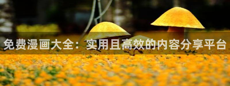 漫蛙漫画破解版：免费漫画大全：实用且高效的内容分享平台